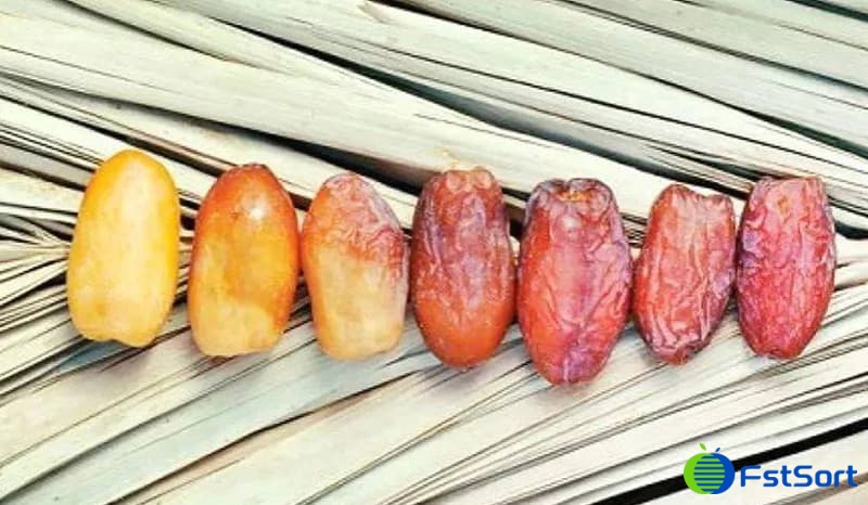 images/1696495240188date calibration machinery.jpg